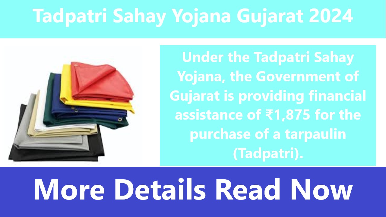 Tadpatri Sahay Yojana Gujarat 2024